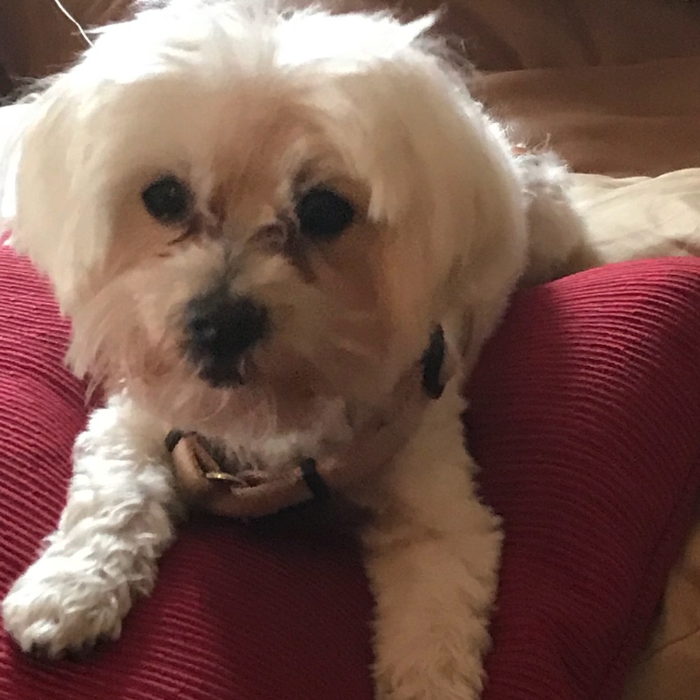 Meet your Posher, Derly